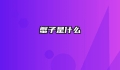 蟹子是什么