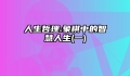 人生哲理:象棋中的智慧人生(一)