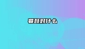 暮鼓对什么