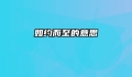 如约而至的意思