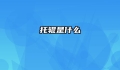 托辊是什么