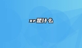 xr是什么
