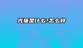光猫是什么?怎么样