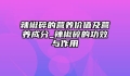 辣椒碎的营养价值及营养成分_辣椒碎的功效与作用