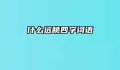 什么远眺四字词语