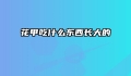 花甲吃什么东西长大的