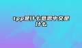 tpp是什么意思中文是什么