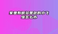 家里有很多黑色的小飞虫怎么办