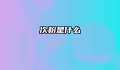次粉是什么