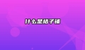 什么是格子铺