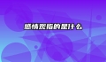 感情观指的是什么