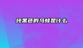 纯黑色的马蜂是什么
