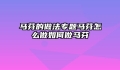 马芬的做法专题马芬怎么做如何做马芬