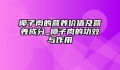 椰子肉的营养价值及营养成分_椰子肉的功效与作用