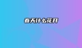 春天什么花开