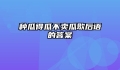 种瓜得瓜不卖瓜歇后语的答案