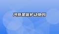 河豚是保护动物吗