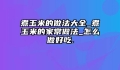 煮玉米的做法大全_煮玉米的家常做法_怎么做好吃.