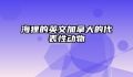 海狸的英文加拿大的代表性动物
