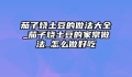 茄子烧土豆的做法大全_茄子烧土豆的家常做法_怎么做好吃