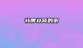 补脾补肾的粥