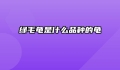 绿毛龟是什么品种的龟