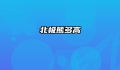 北极熊多高