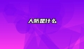 人防是什么