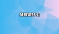 味碟是什么
