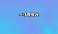 5寸有多大