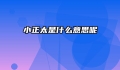 小正太是什么意思呢