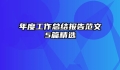 年度工作总结报告范文5篇精选