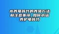 水养龟背竹的养殖方法和注意事项_如何水培养护龟背竹