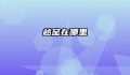 越窑在哪里