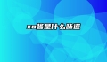 xo酱是什么味道