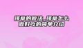 排草的做法_排草怎么做好吃的简单介绍