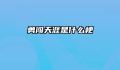 勇闯天涯是什么梗