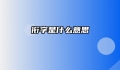 衔字是什么意思