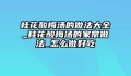 桂花酸梅汤的做法大全_桂花酸梅汤的家常做法_怎么做好吃