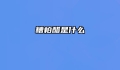 糟柏醋是什么