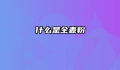 什么是全麦粉
