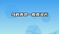 马的寿命一般有多长