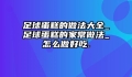 足球蛋糕的做法大全_足球蛋糕的家常做法_怎么做好吃.