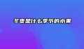 冬枣是什么季节的水果