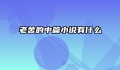老舍的中篇小说有什么