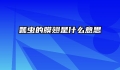 瓢虫的膜翅是什么意思