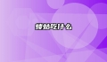 蝼蛄吃什么