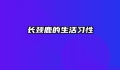 长颈鹿的生活习性