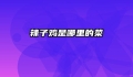 辣子鸡是哪里的菜