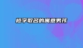 桓字取名的寓意男孩